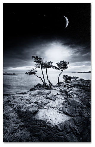 'Emotional High' Canvas Art by Philippe Sainte-Laudy