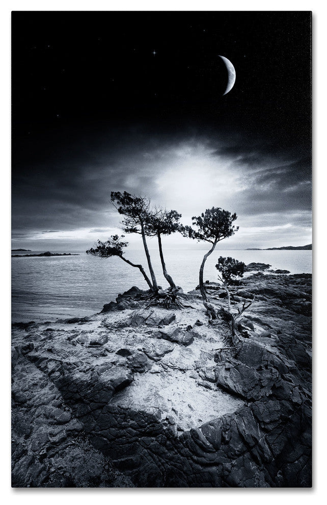 'Emotional High' Canvas Art by Philippe Sainte-Laudy