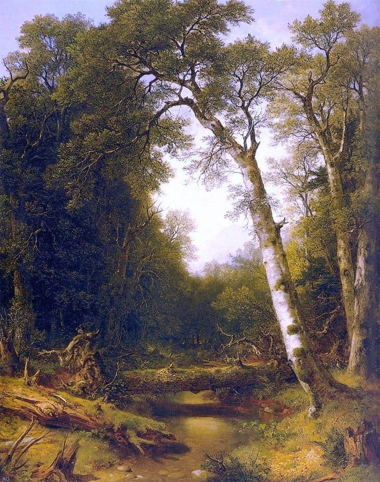 Asher Brown Durand A Stream in the Wood, Gallery Wrapped Canvas Print, 20"x25"