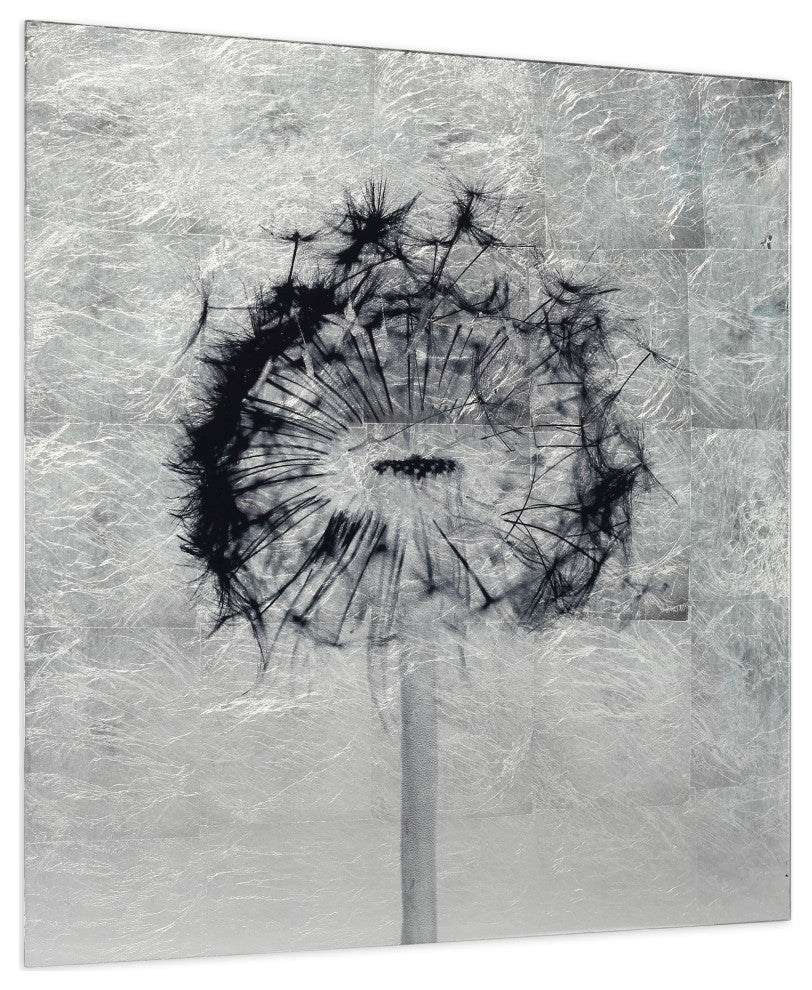 "Dandelion" Reverse Printed on Tempered Glass With Silver Leaf Wall Art