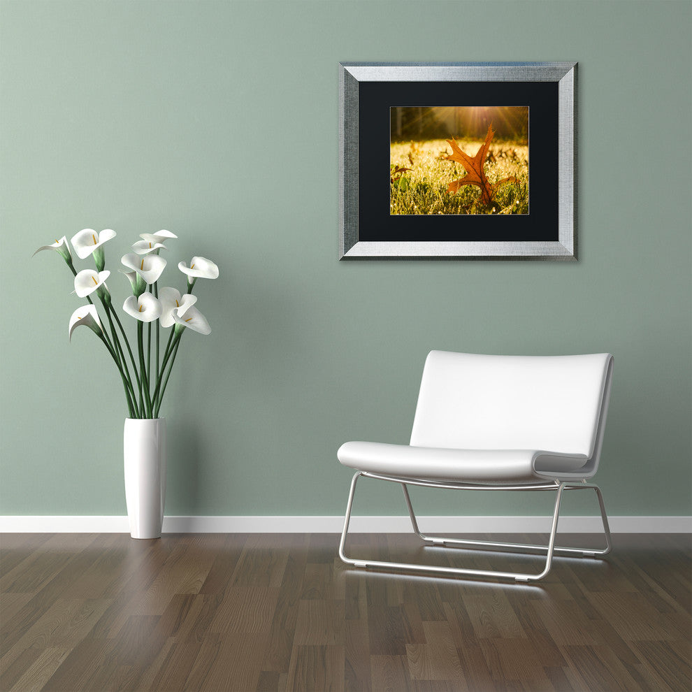 PIPA Fine Art 'Fall Leaf in Morning Sun' Matted Framed Art, 14x11