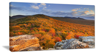 Endless Forests in the Fall Foliage, Landscape Canvas Art Print, 60"x28"