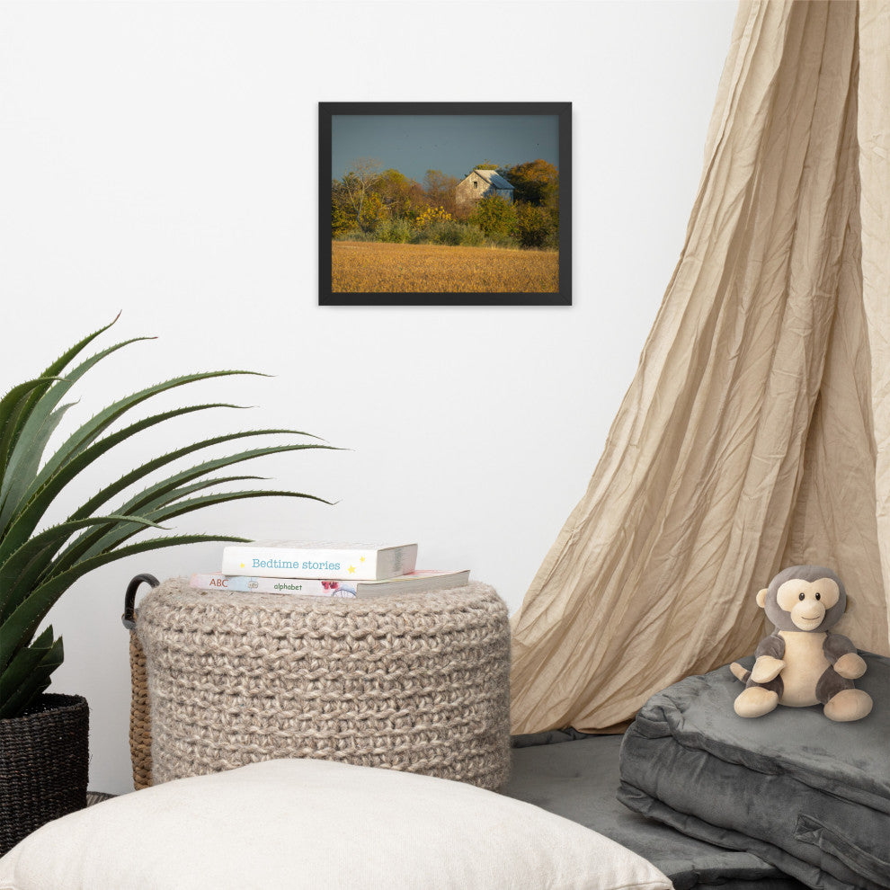 Abandoned Barn In The Trees Framed Photo Paper Wall Art Prints, Black, 11" X 14"