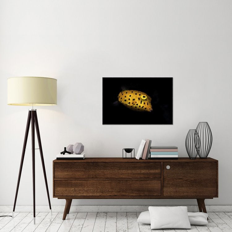 "Yellow Boxfish" Framed Canvas Giclee by Barathieu Gabriel, 37x25"