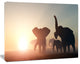 Group of Elephants in the Wild, African Canvas Art Print, 40"x30"