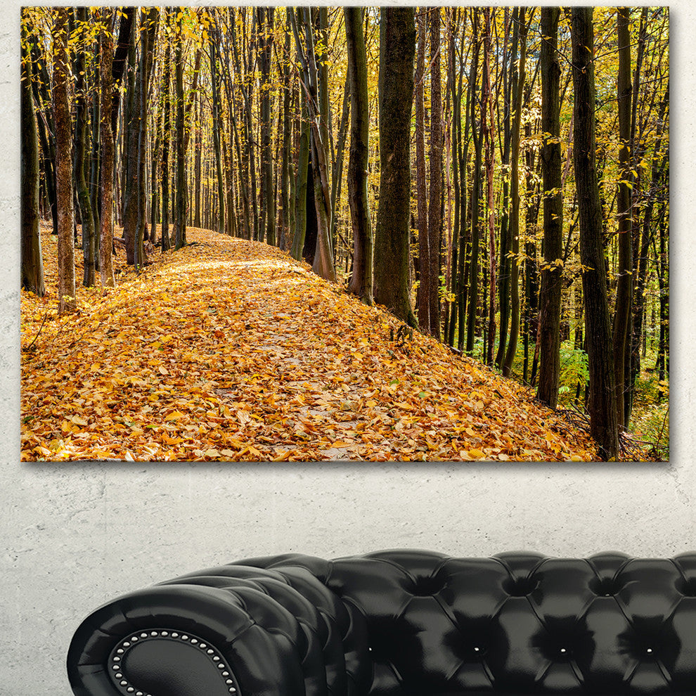 Dense Autumn Forest Woods, Modern Forest Canvas Art, 40"x30"