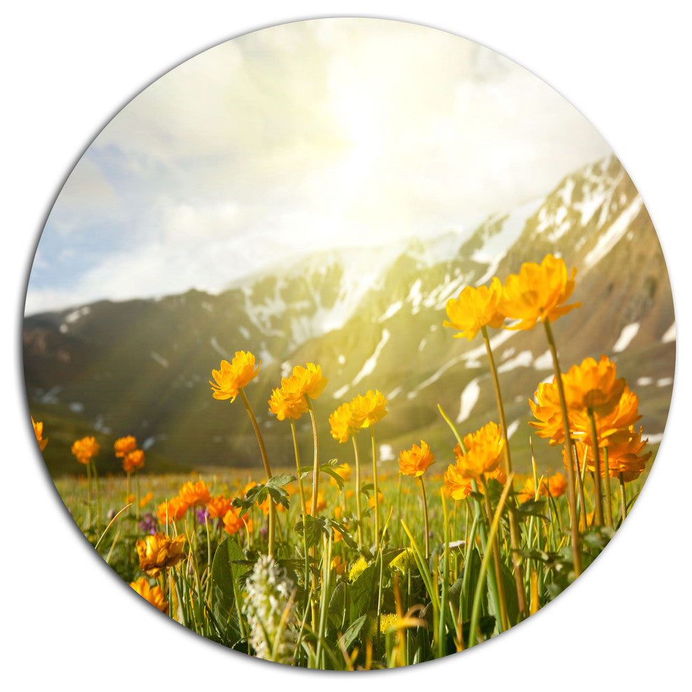 Mountain Pasture With Yellow Flowers, Flower Round Metal Wall Art, 36"