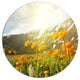 Mountain Pasture With Yellow Flowers, Flower Round Metal Wall Art, 36"