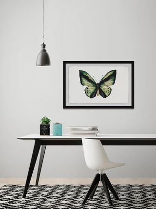 "Hunter Green Butterfly" Framed Painting Print, 45"x30"