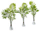 Mini Palm Artificial Plant, Vase, Set of 3