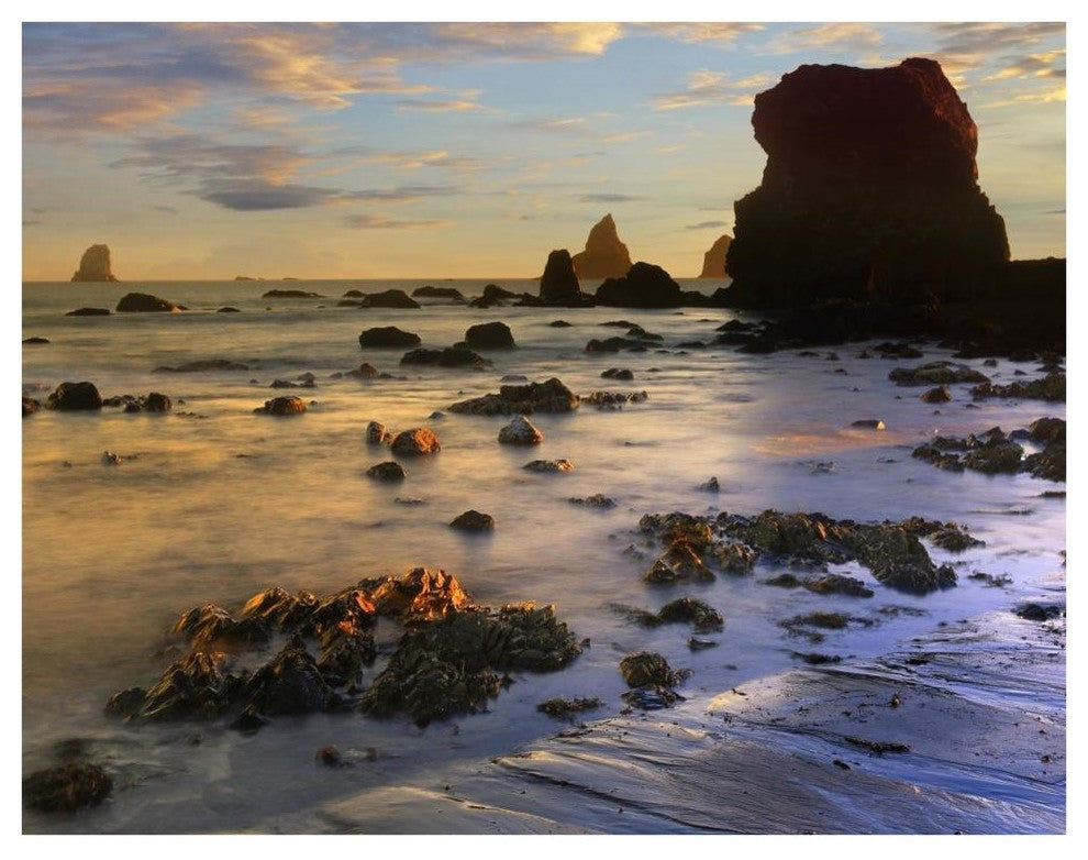 "Seastacks, Lone Ranch Beach, Oregon" Paper Print by Tim Fitzharris, 42"x32"