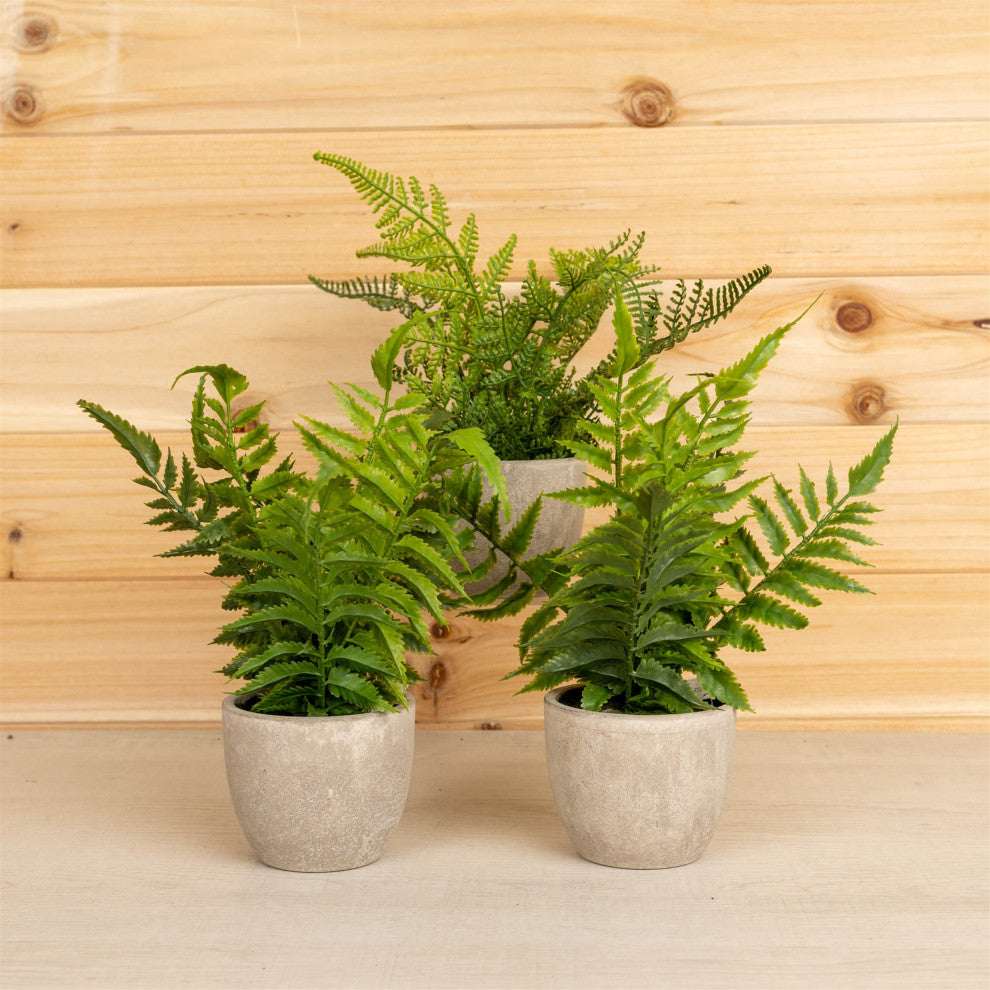 Potted Fern, 3-Piece Set, 9.5"H Plastic