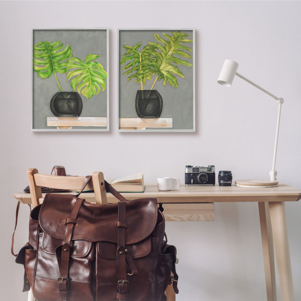 Tropical Plant Fronds Monstera Interior Still Life,16 x 20