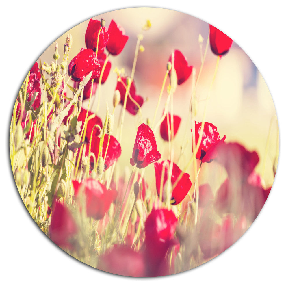 Poppy Flowers On Light Background, Flower Large Disc Metal Artwork, 23"