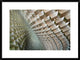 "Serpentine" Framed Digital Print by Linda Wride, 32x24"