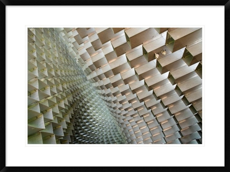 "Serpentine" Framed Digital Print by Linda Wride, 32x24"