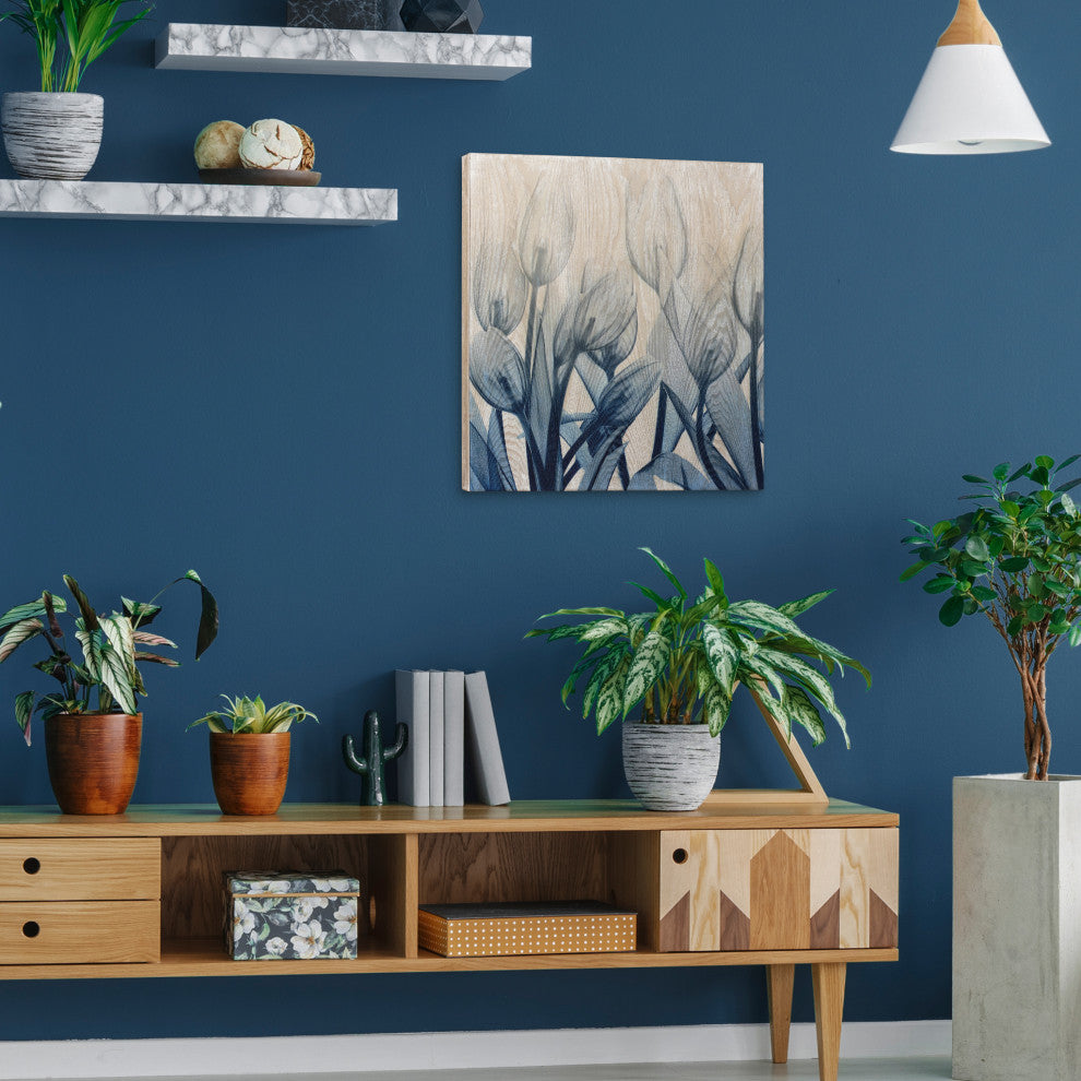 Blue Tulip Wall Art X-Ray Photography Giclee Printed on Hand Finished Ash Wood