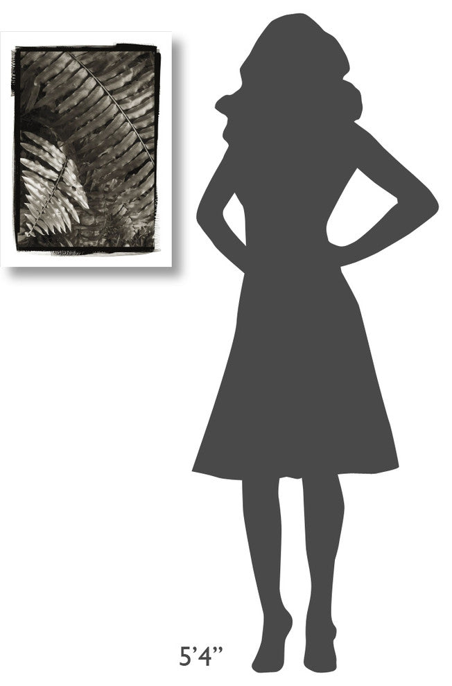 "Fern I v2" Digital Paper Print by Debra Van Swearingen, 17"x24"