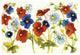 "Independent Blooms I" Digital Paper Print by Shirley Novak, 50"x34"