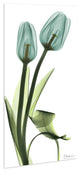 "Blue Tulips" Frameless Free Floating Panel Graphic Wall Art, 24"x48"