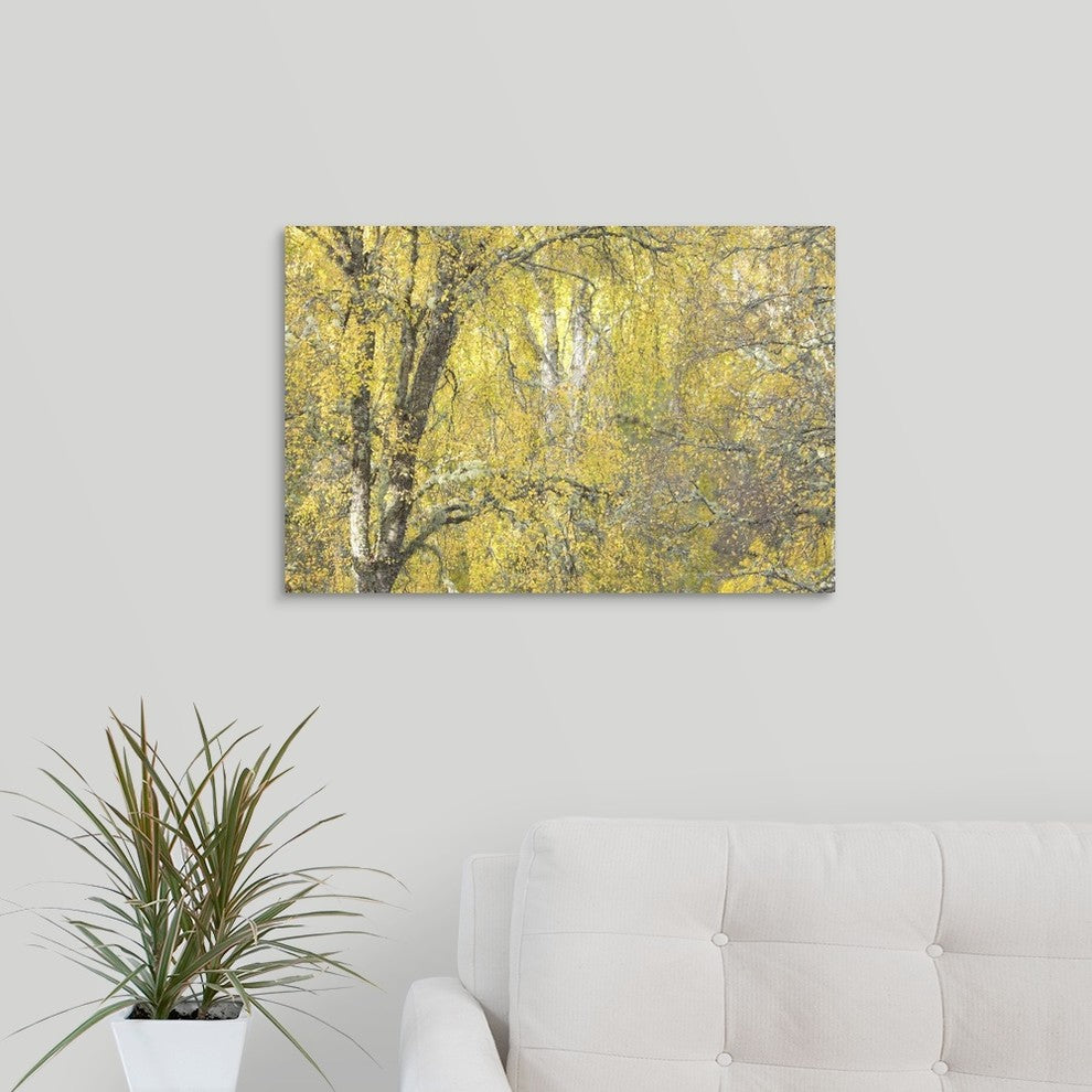 "Golden Dreams" Wrapped Canvas Art Print, 24"x16"x1.5"
