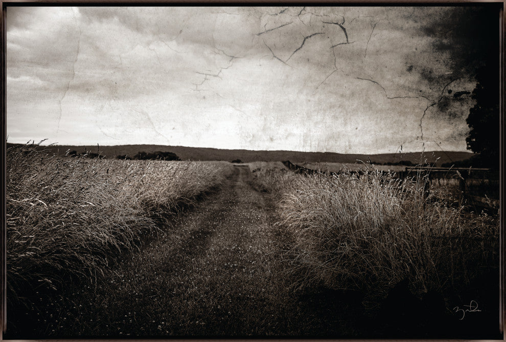 45x30 Path V, Framed Artwork, Espresso