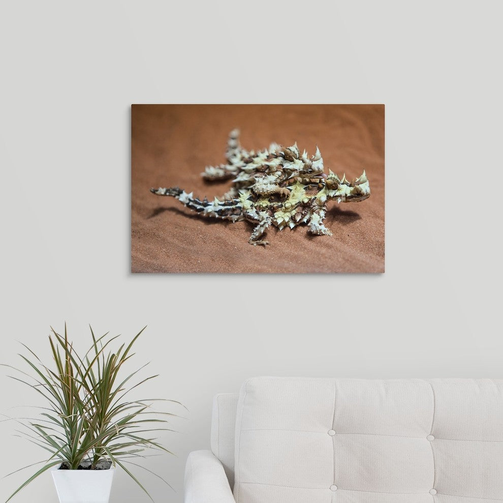 "Thorny Devils" Wrapped Canvas Art Print, 24"x16"x1.5"