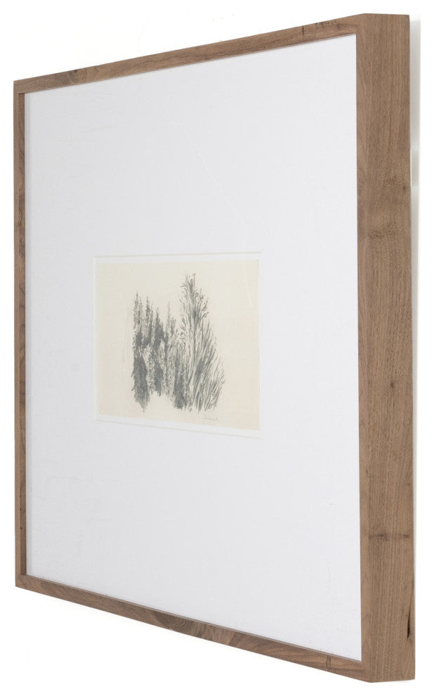 Tree Sketch By Dan Hobday