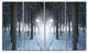 Winter Forest with Dark Woods, Landscape Canvas Art Print, 48"x28", 4 Panels