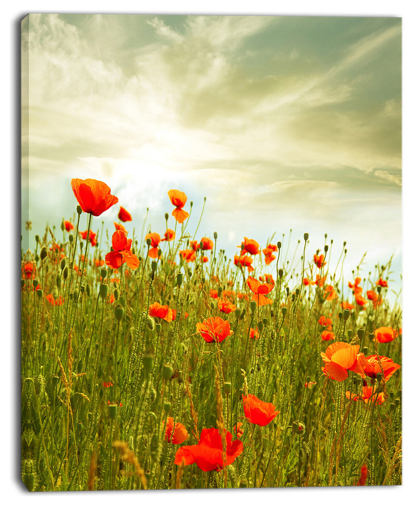 Red Poppy Flowers in Green Field, Floral Canvas Art Print, 12"x20"