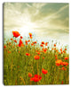 Red Poppy Flowers in Green Field, Floral Canvas Art Print, 12"x20"