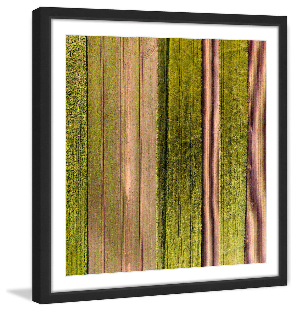 "Crop Rows" Framed Print by Karolis Janulis