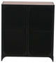 Rustic 2-Door Cabinet With Mesh Doors