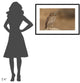 "Owl Vs Bee" Framed Digital Print by Assaf Gavra, 38"x26"