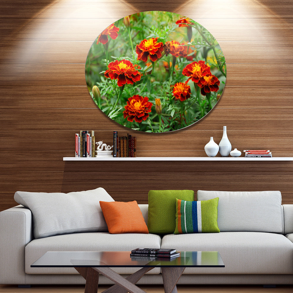 Blooming Red Marigold Flowers, Floral Disc Metal Artwork, 23"