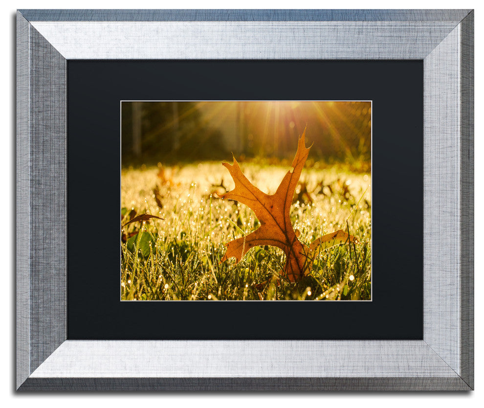 PIPA Fine Art 'Fall Leaf in Morning Sun' Matted Framed Art, 14x11