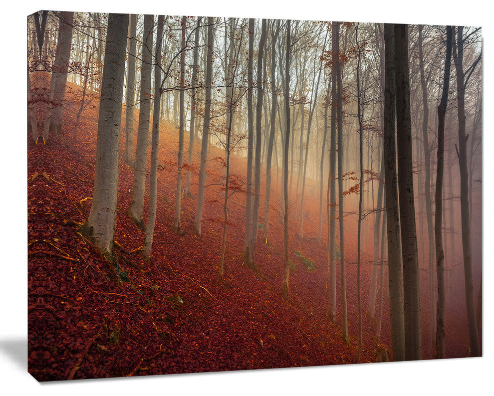 Foggy Day in Enchanted Forest, Landscape Canvas Art Print, 20"x12"