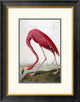 "American Flamingo" Framed Digital Print by John James Audubon, 21x26"