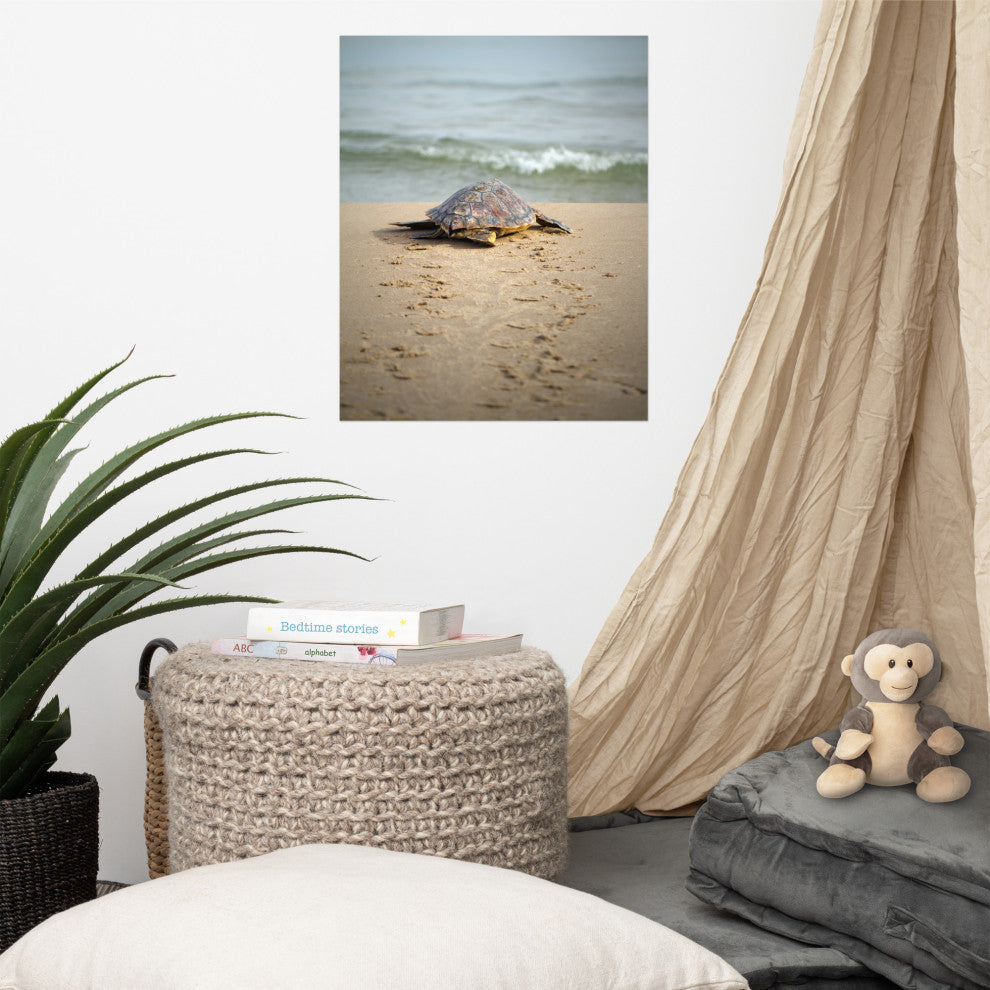 Baby Loggerhead Sea Turtle Beach Ocean Photograph Loose Wall Art Print, 16" X 20"