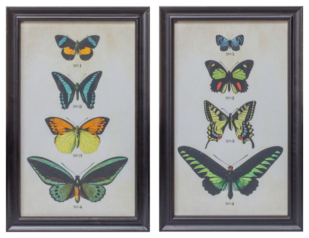 Framed Butterfly Print, 2-Piece Set