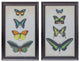 Framed Butterfly Print, 2-Piece Set
