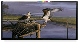 Wilhelm Goebel 'Chesapeake Treasurers Osprey' Canvas Art, 24"x12"