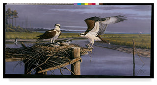 Wilhelm Goebel 'Chesapeake Treasurers Osprey' Canvas Art, 24"x12"