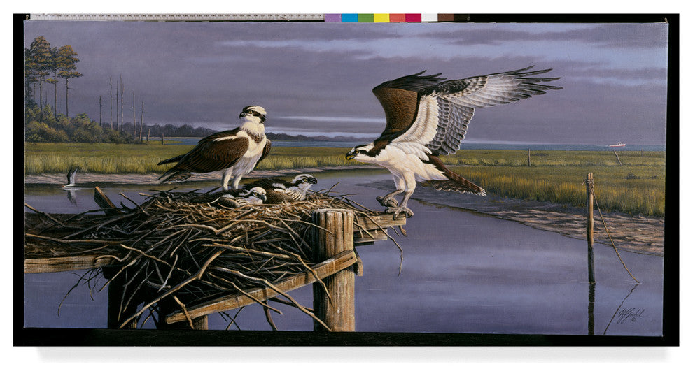Wilhelm Goebel 'Chesapeake Treasurers Osprey' Canvas Art, 24"x12"