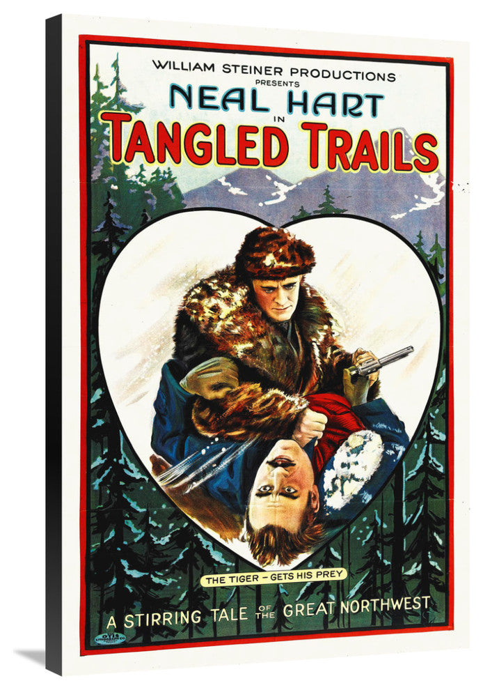 "Tangled Trails" Stretched Canvas Giclee by Hollywood Photo Archive, 24x36"