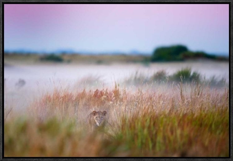 "Hide And Seek" Framed Canvas Giclee by Frits Hoogendijk, 23x16"