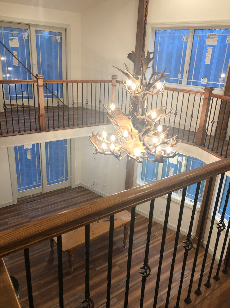 Real Antler Elk Canadian Jewel Deer Chandelier Light