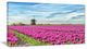 Traditional Holland Countryside, Landscape Canvas Art Print, 40x20