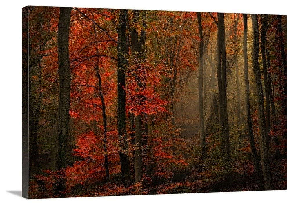 "Poetry of Colors" Wrapped Canvas Art Print, 36"x24"x1.5"