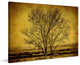 "Entwined Trees" Painting Print on Canvas by Malek
